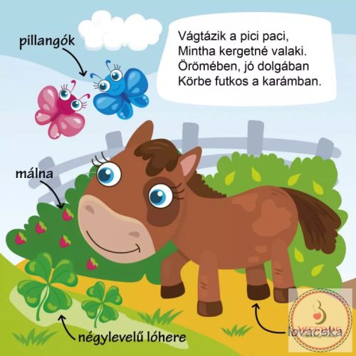 Séta a farmon - szókincsfejlesztő (leporelló)