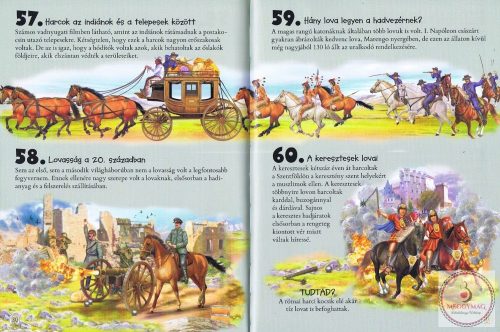 101 dolog, amit jó, ha tudsz a lovakról