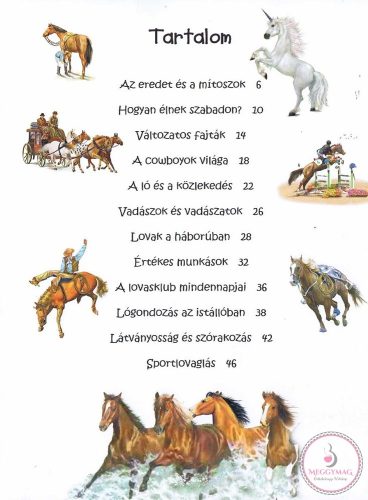 101 dolog, amit jó, ha tudsz a lovakról