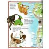   Képes atlasz gyermekeknek - Állatok a világban matricákkal