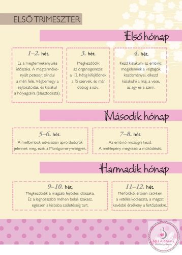 Napló a babavárás 9 hónapjáról