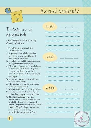 Napló a babám első évéről (lányos)