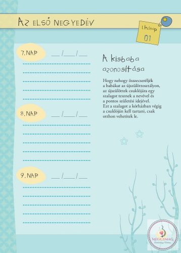 Napló a babám első évéről (lányos)