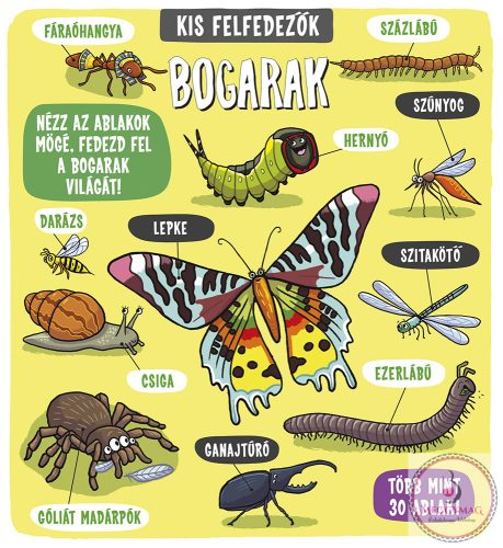 Kis felfedezők - Bogarak