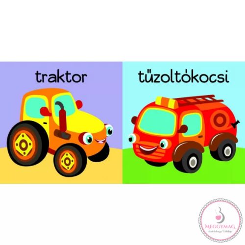 Hajócska és barátai -  fürdőskönyv