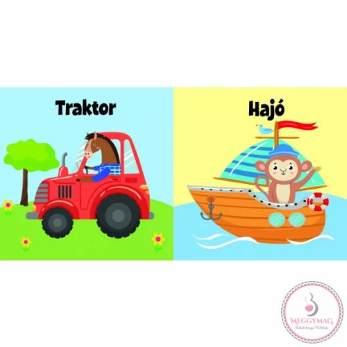 Úszik a hajó - fürdőskönyv