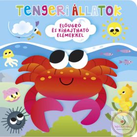 Ki bújt el? Tengeri állatok 