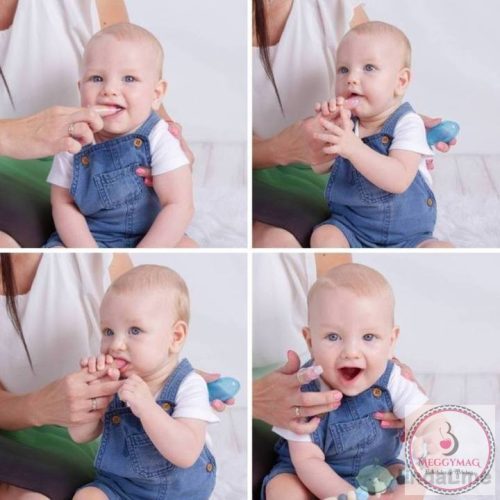 Szilikon Fogdörzsi, Hamvas-rózsa tokban