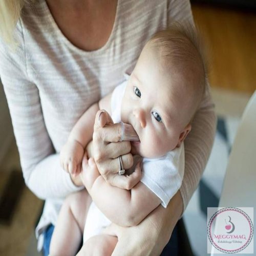 Szilikon Fogdörzsi, Hamvas-rózsa tokban