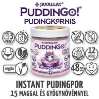 PUDDINGO 