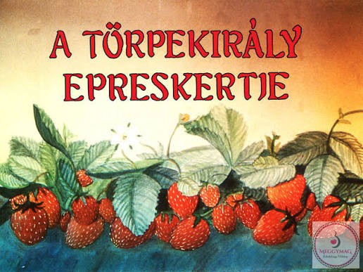 A törpekirály epres kertje diafilm
